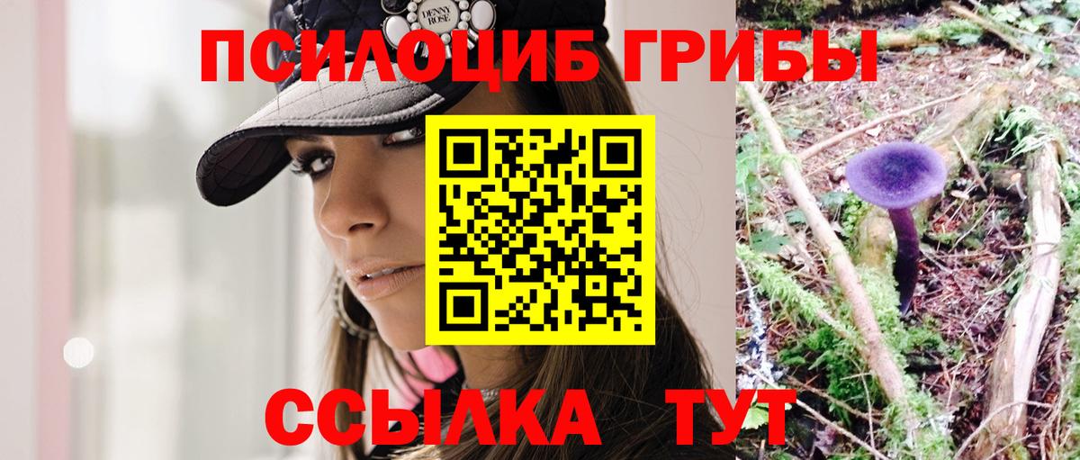 наркота  Вход с VPN  Алексин  Галлюциногенные грибы Cubensis 