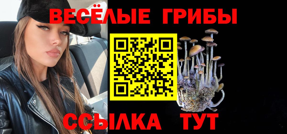 Галлюциногенные грибы Psilocybe Алексин